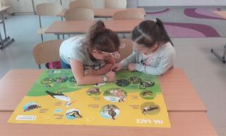 zdj%%C4%%99cie dke 2